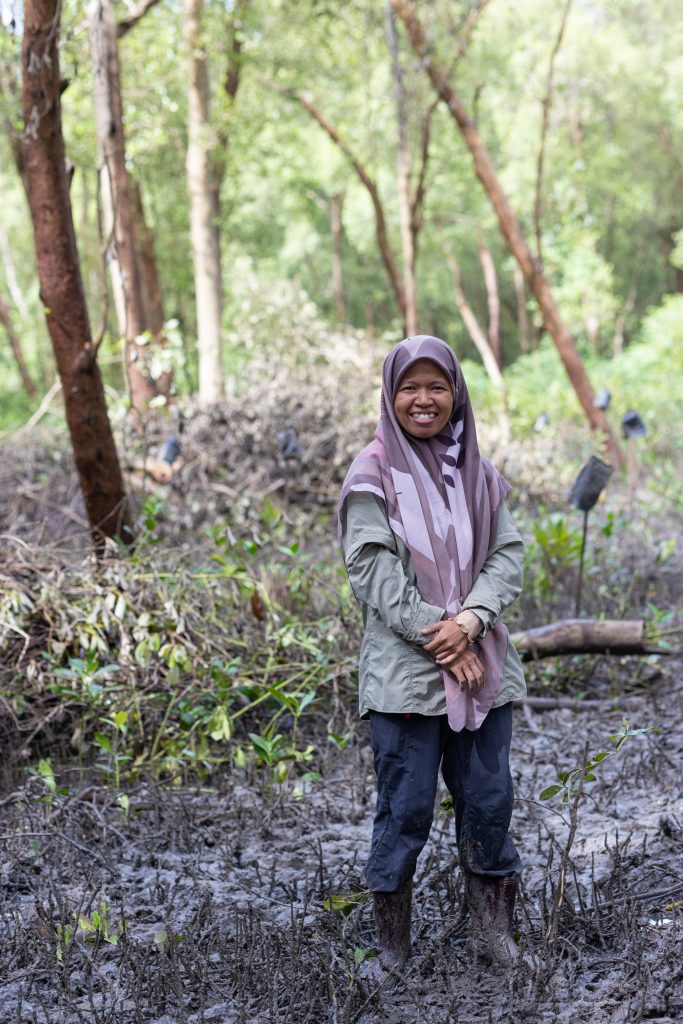 Munira in mangrove